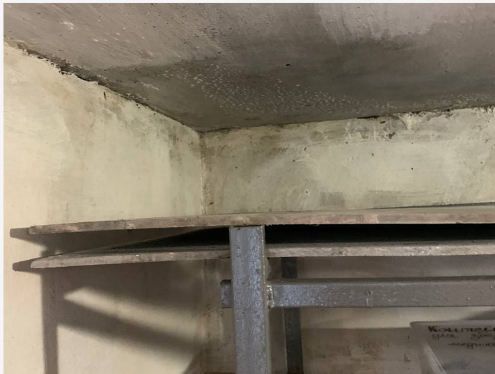 Гнилі овочі та цвіль на стінах. У центрі реабілітації на Хмельниччині порушують права дітей (фото)